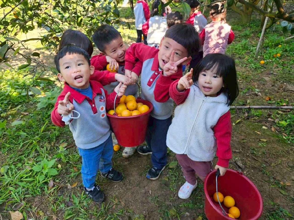 line_album_葡萄班採果樂_260114_8