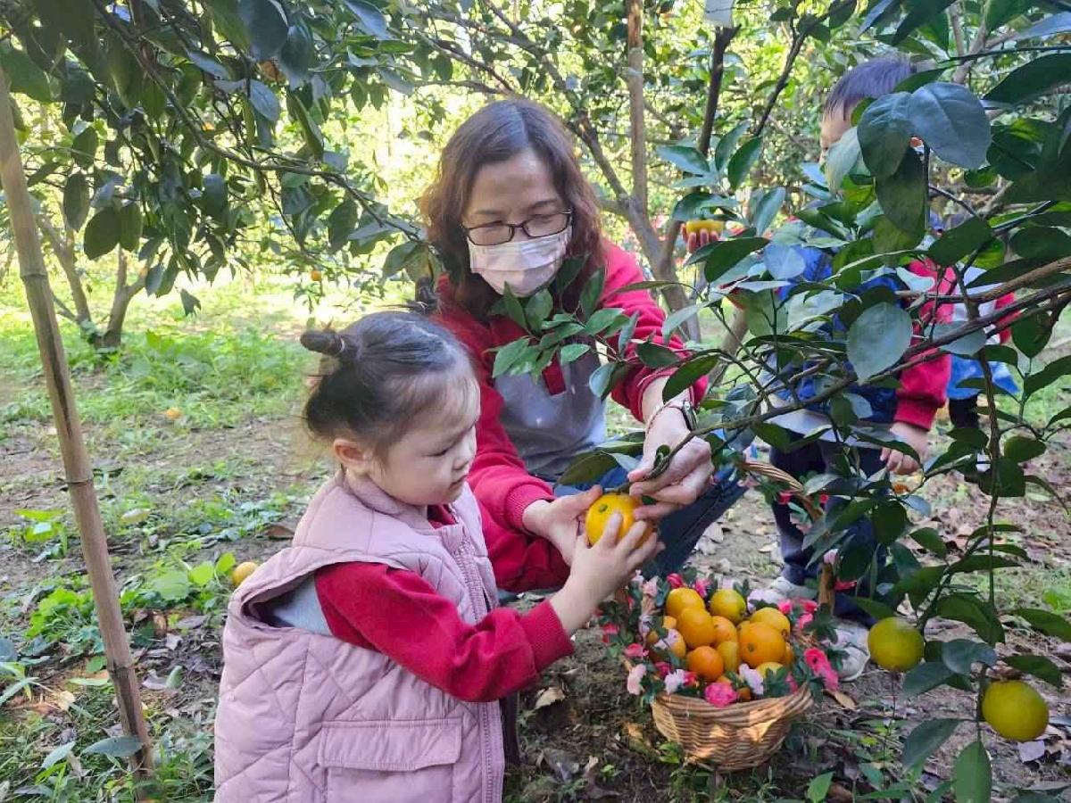 line_album_葡萄班採果樂_260114_13