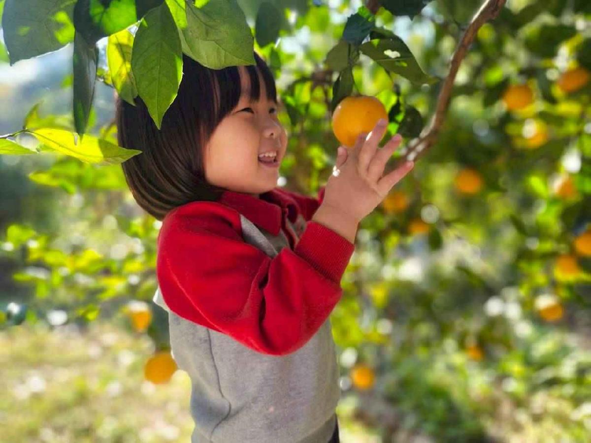 line_album_葡萄班採果樂_260114_14