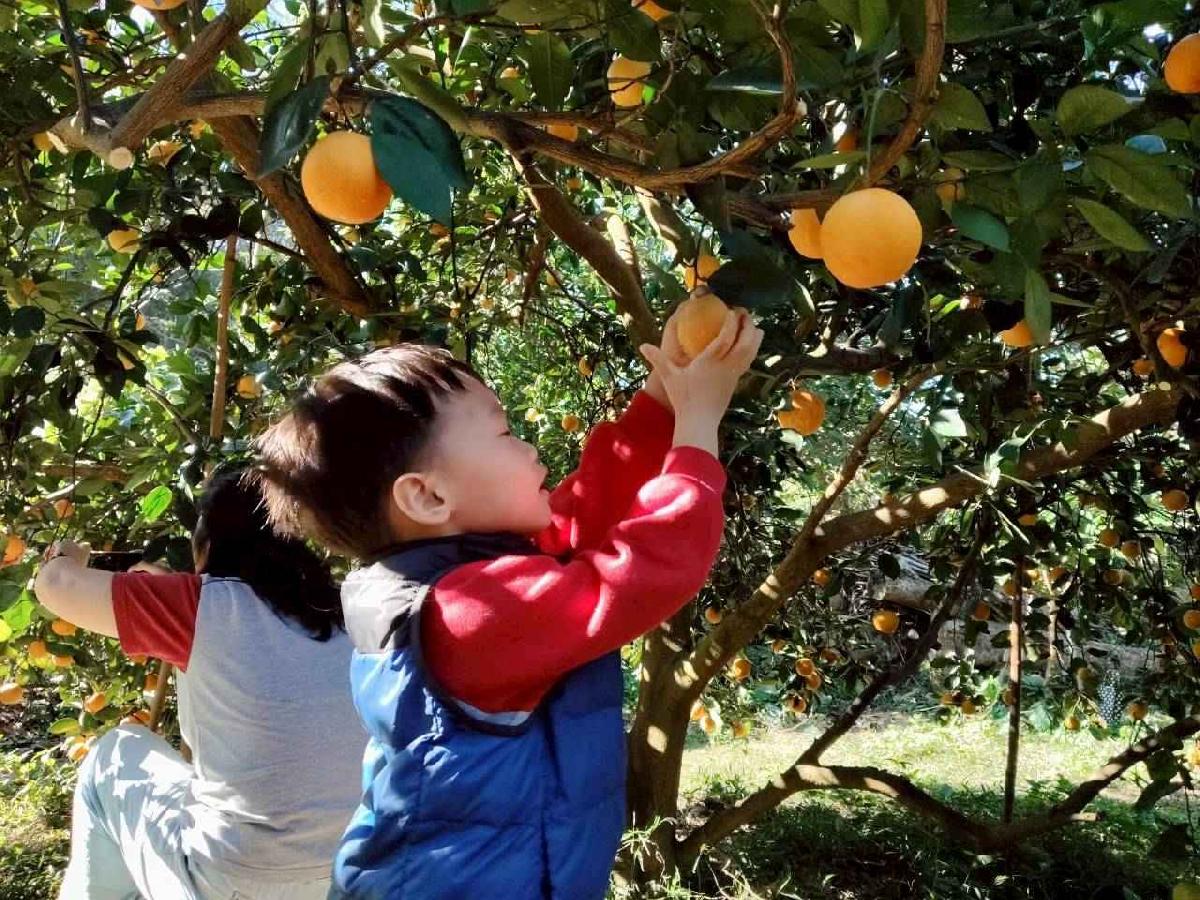 line_album_葡萄班採果樂_260114_25