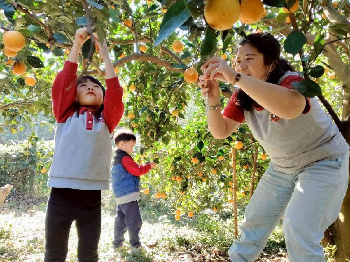 line_album_葡萄班採果樂_260114_26