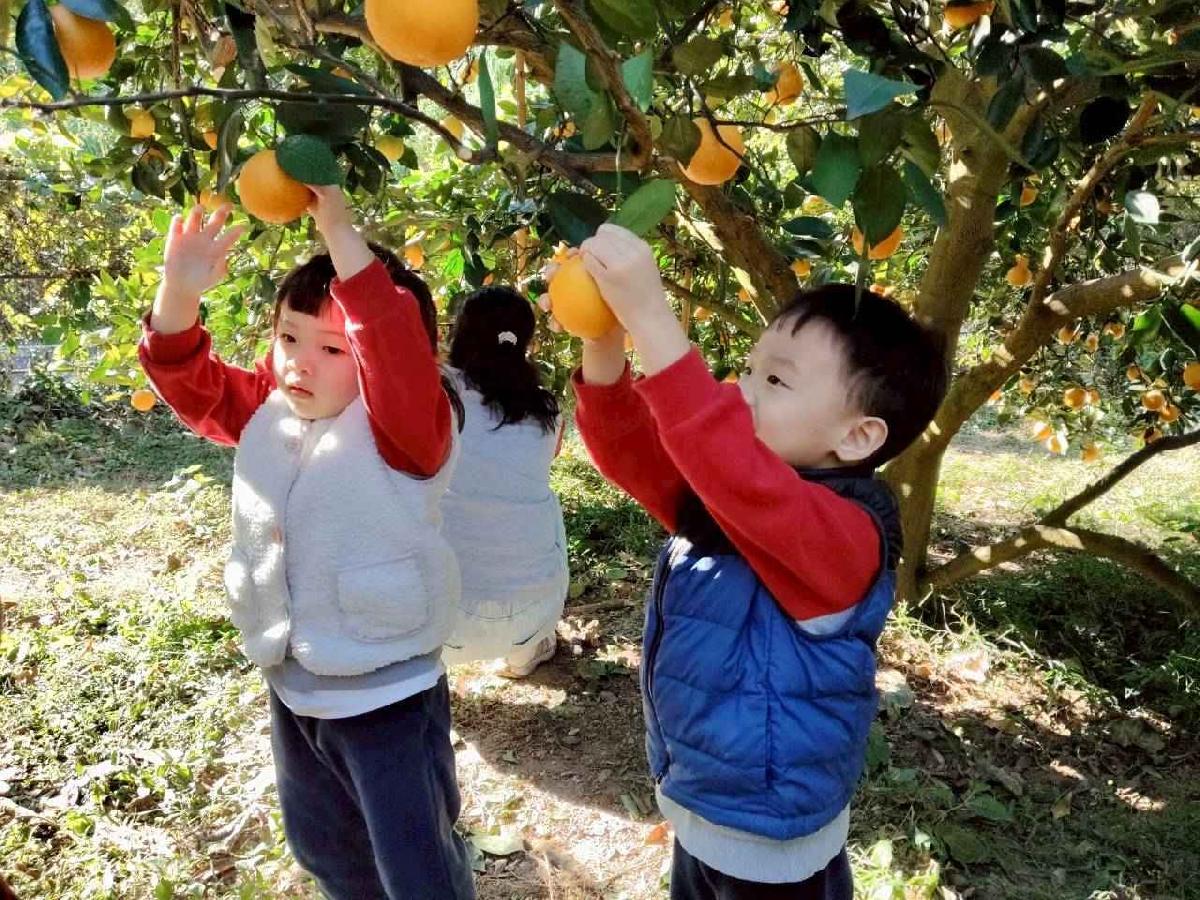 line_album_葡萄班採果樂_260114_27