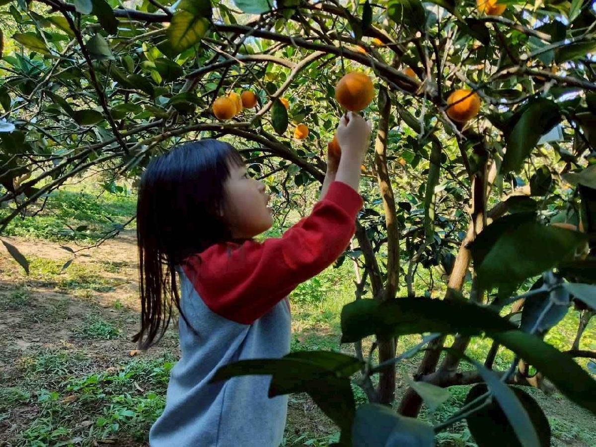 line_album_葡萄班採果樂_260114_28