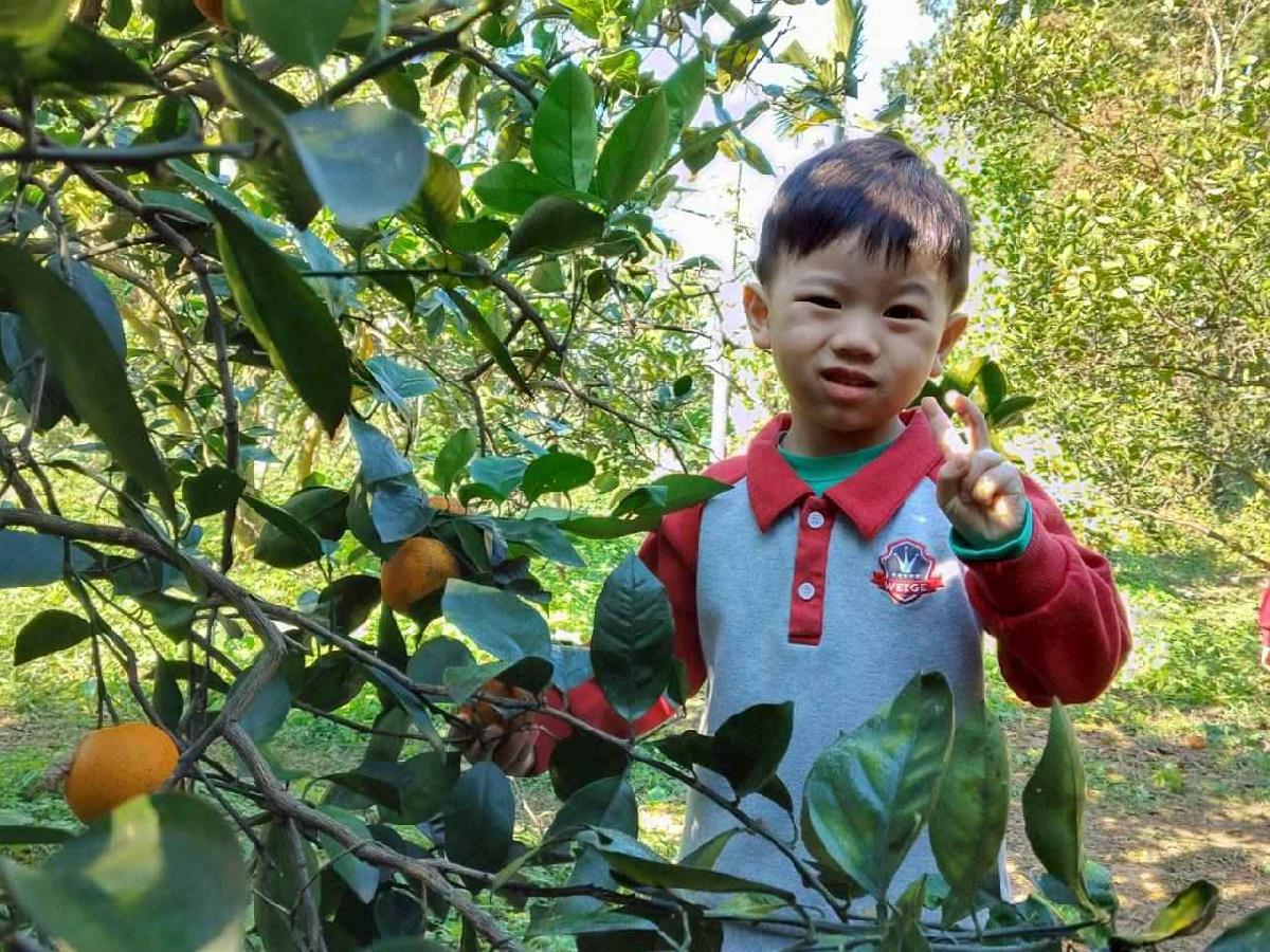 line_album_葡萄班採果樂_260114_32