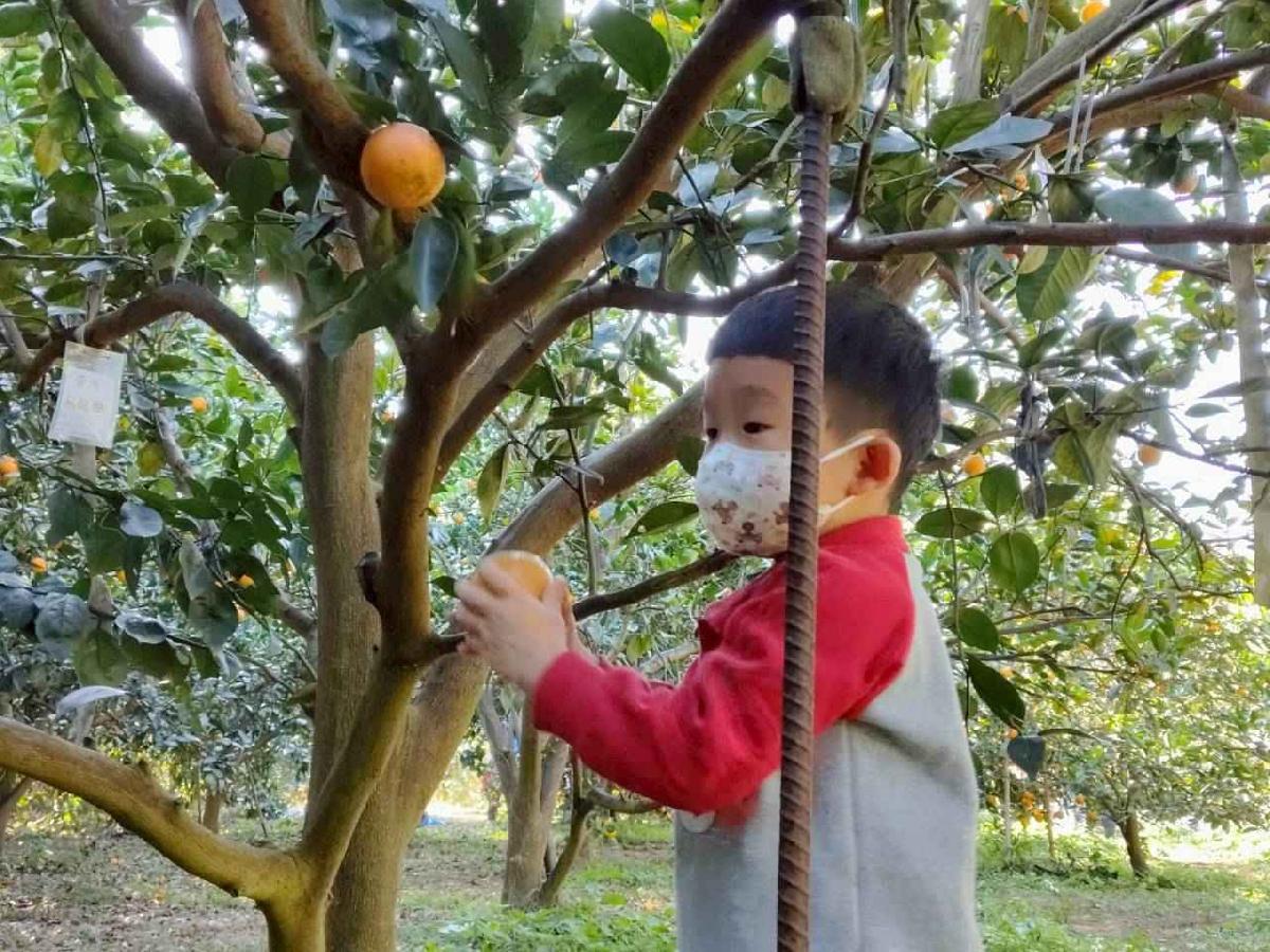 line_album_葡萄班採果樂_260114_33