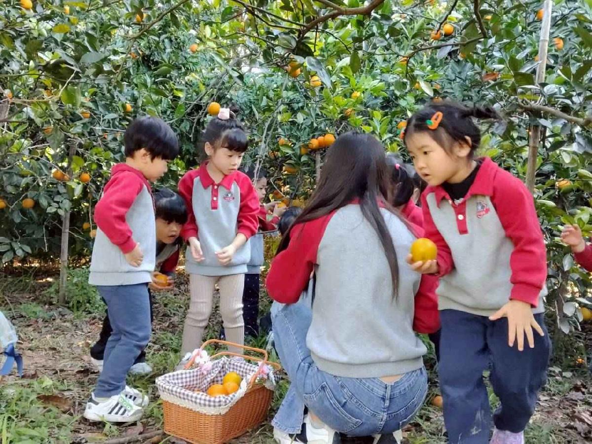 line_album_葡萄班採果樂_260114_34