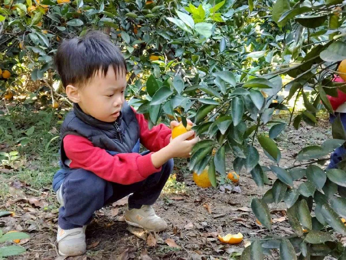 line_album_葡萄班採果樂_260114_38