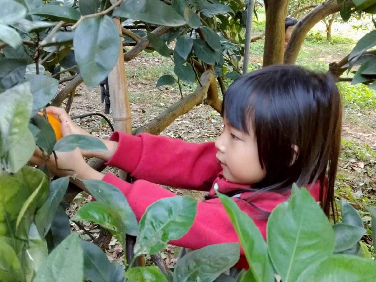 line_album_葡萄班採果樂_260114_39