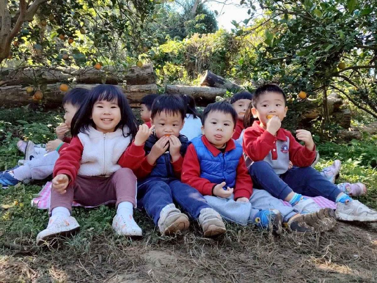 line_album_葡萄班採果樂_260114_41