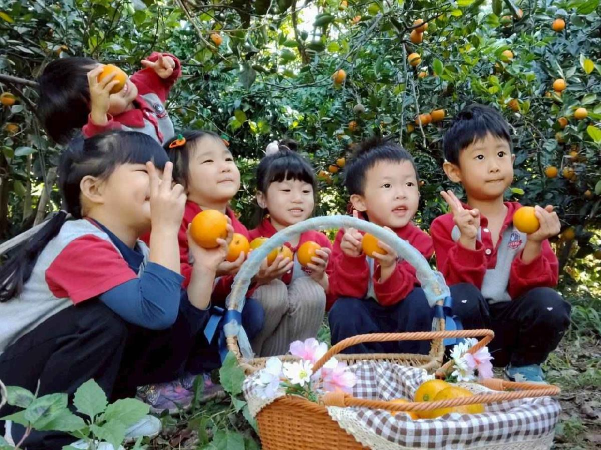 line_album_葡萄班採果樂_260114_43