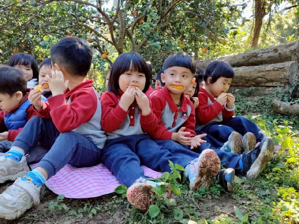 line_album_葡萄班採果樂_260114_44