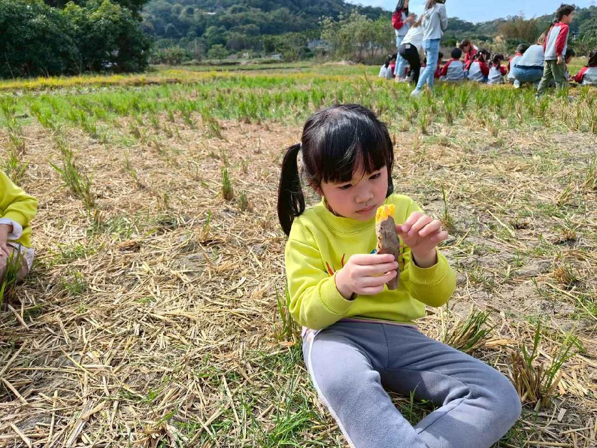 line_album_115.01.29水蜜桃_260129_2