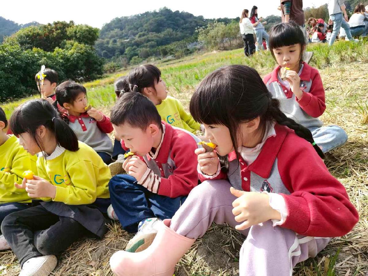 line_album_115.01.29水蜜桃_260129_1