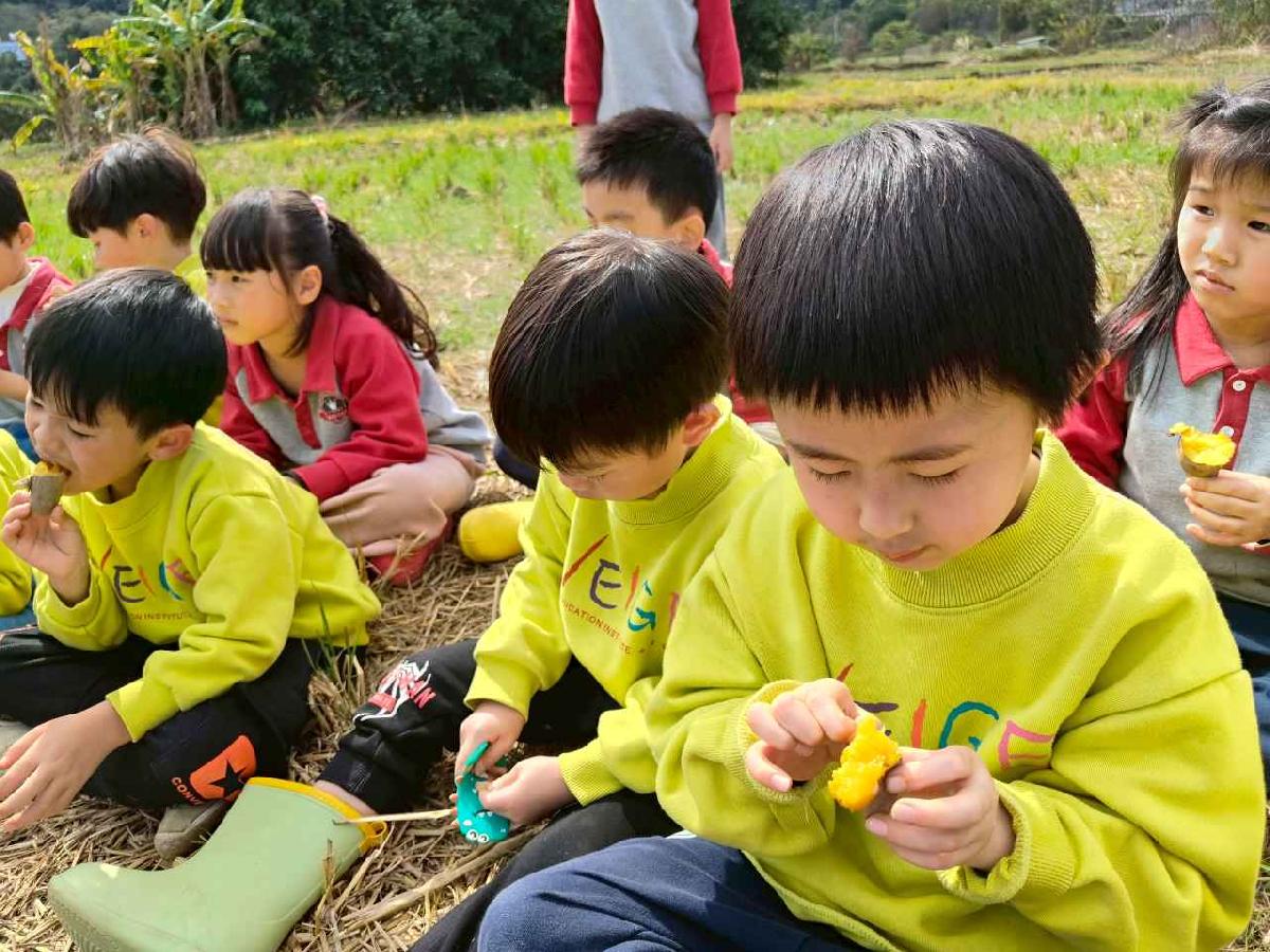 line_album_115.01.29水蜜桃_260129_5