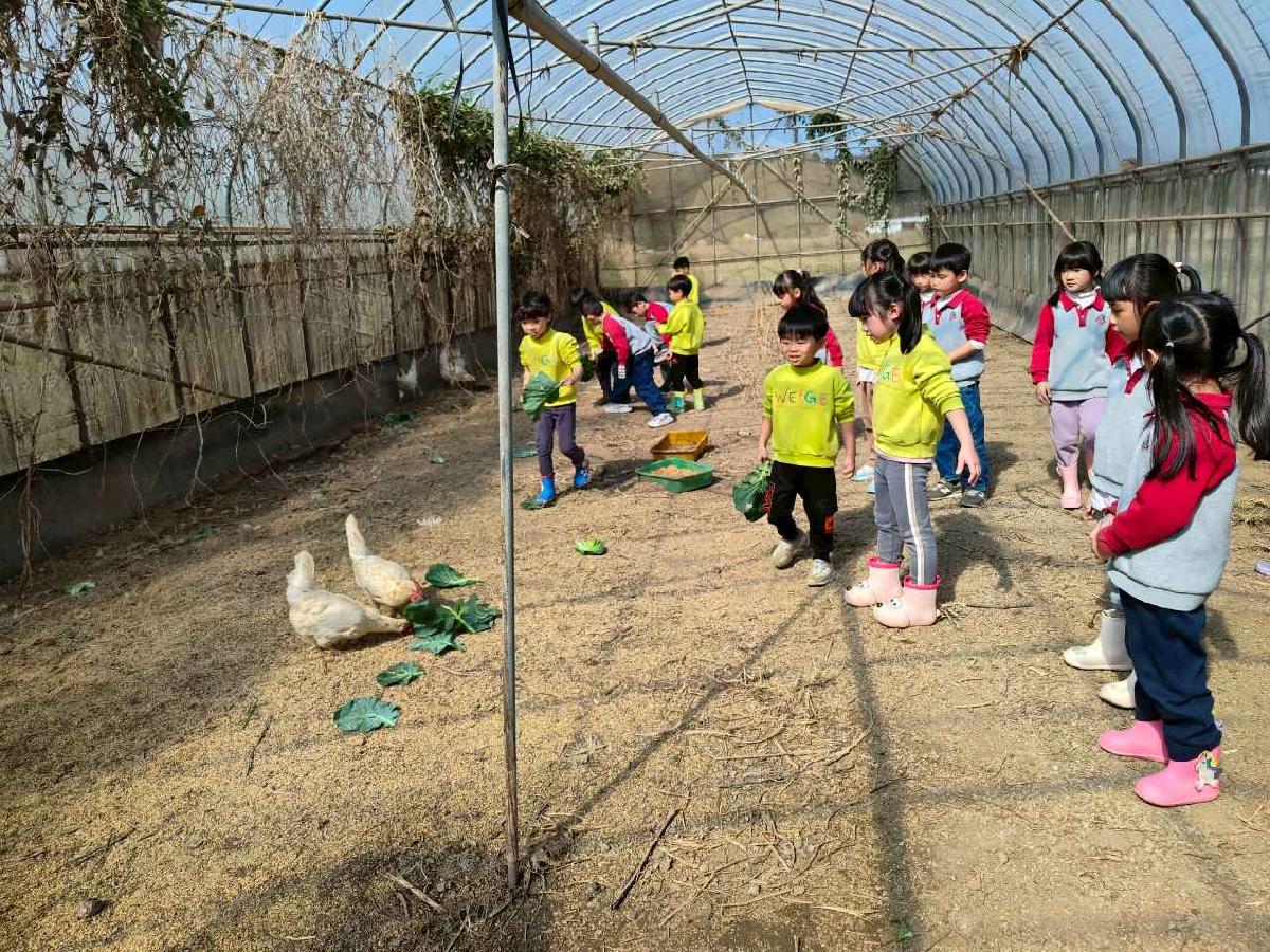 line_album_115.01.29水蜜桃_260129_86