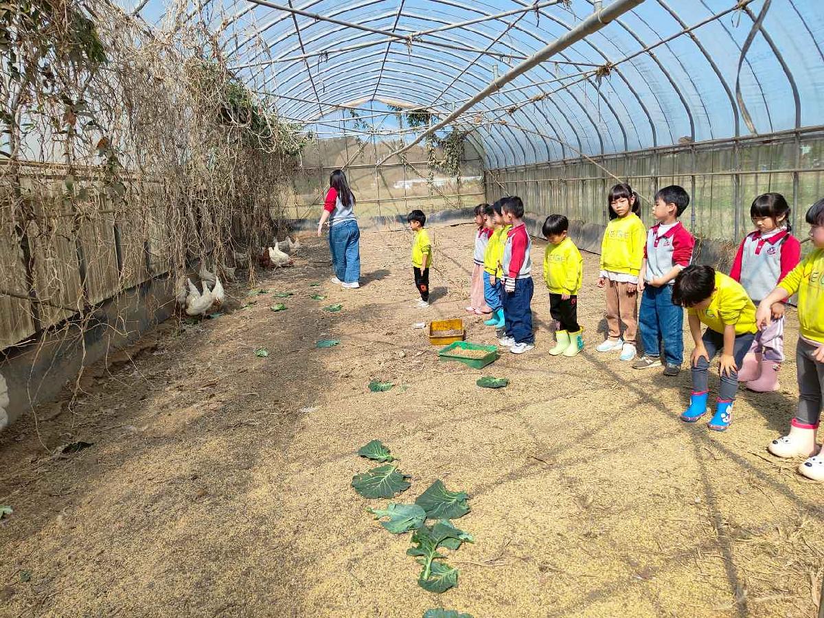 line_album_115.01.29水蜜桃_260129_80