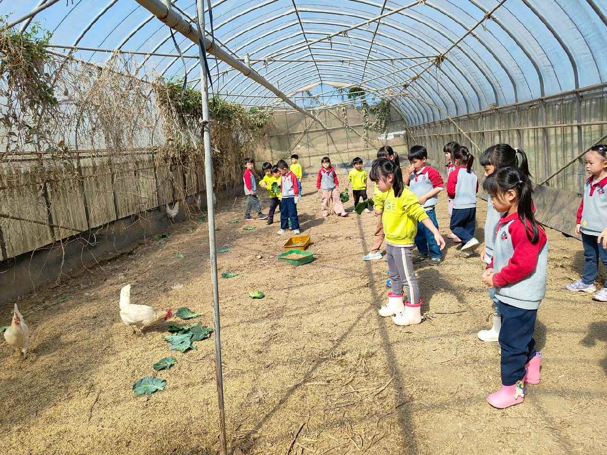 line_album_115.01.29水蜜桃_260129_88