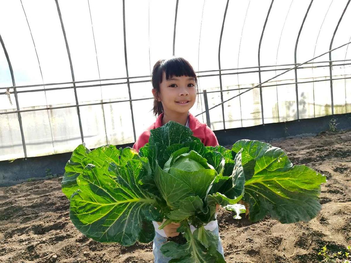 line_album_115.01.29水蜜桃_260129_107