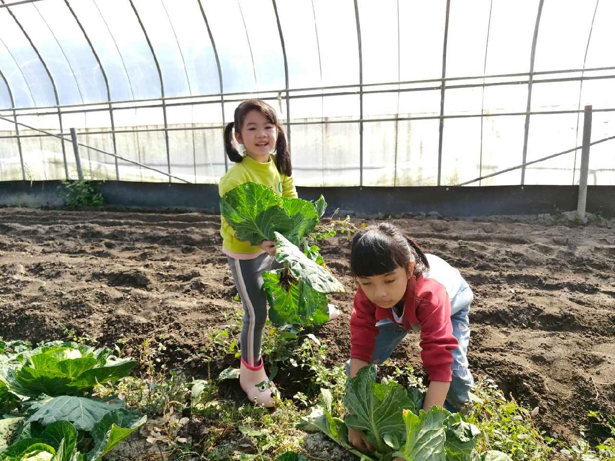 line_album_115.01.29水蜜桃_260129_109