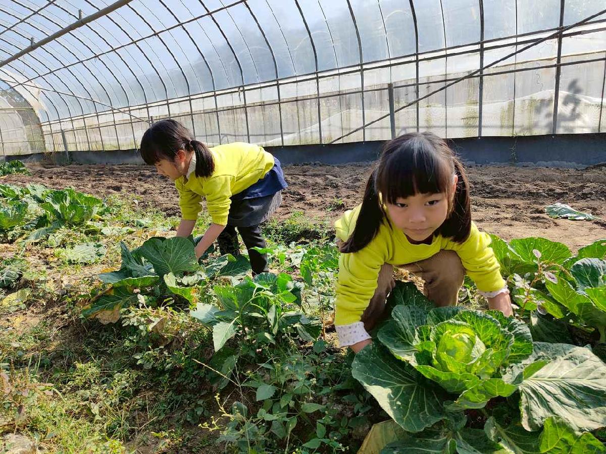 line_album_115.01.29水蜜桃_260129_115