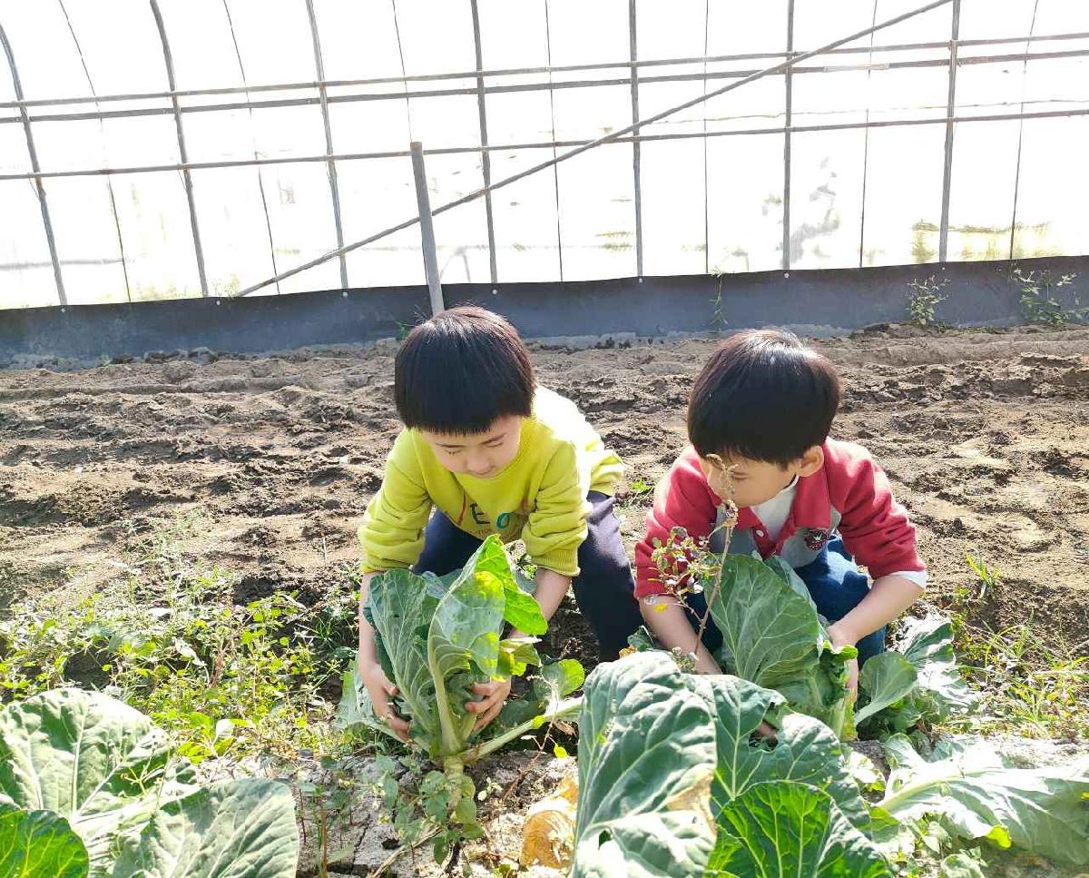 line_album_115.01.29水蜜桃_260129_134