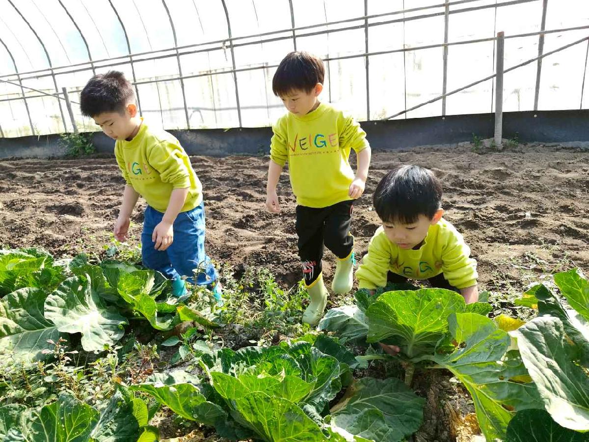 line_album_115.01.29水蜜桃_260129_140