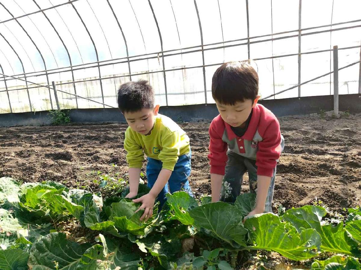 line_album_115.01.29水蜜桃_260129_143