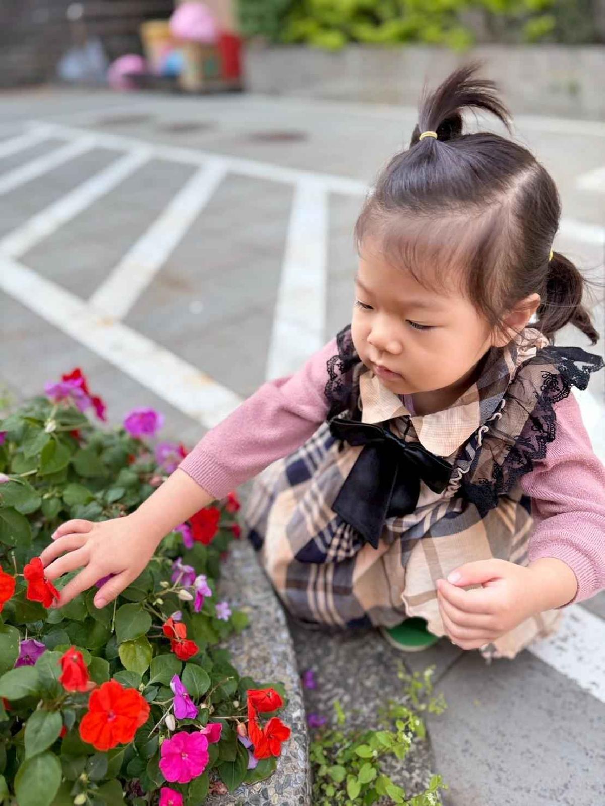 line_album_1150325草莓賞花_260327_7