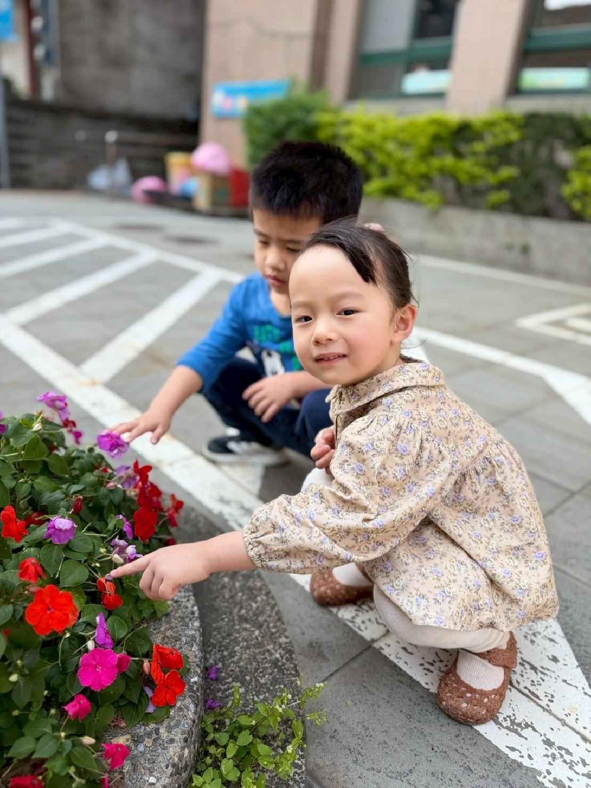 line_album_1150325草莓賞花_260327_9