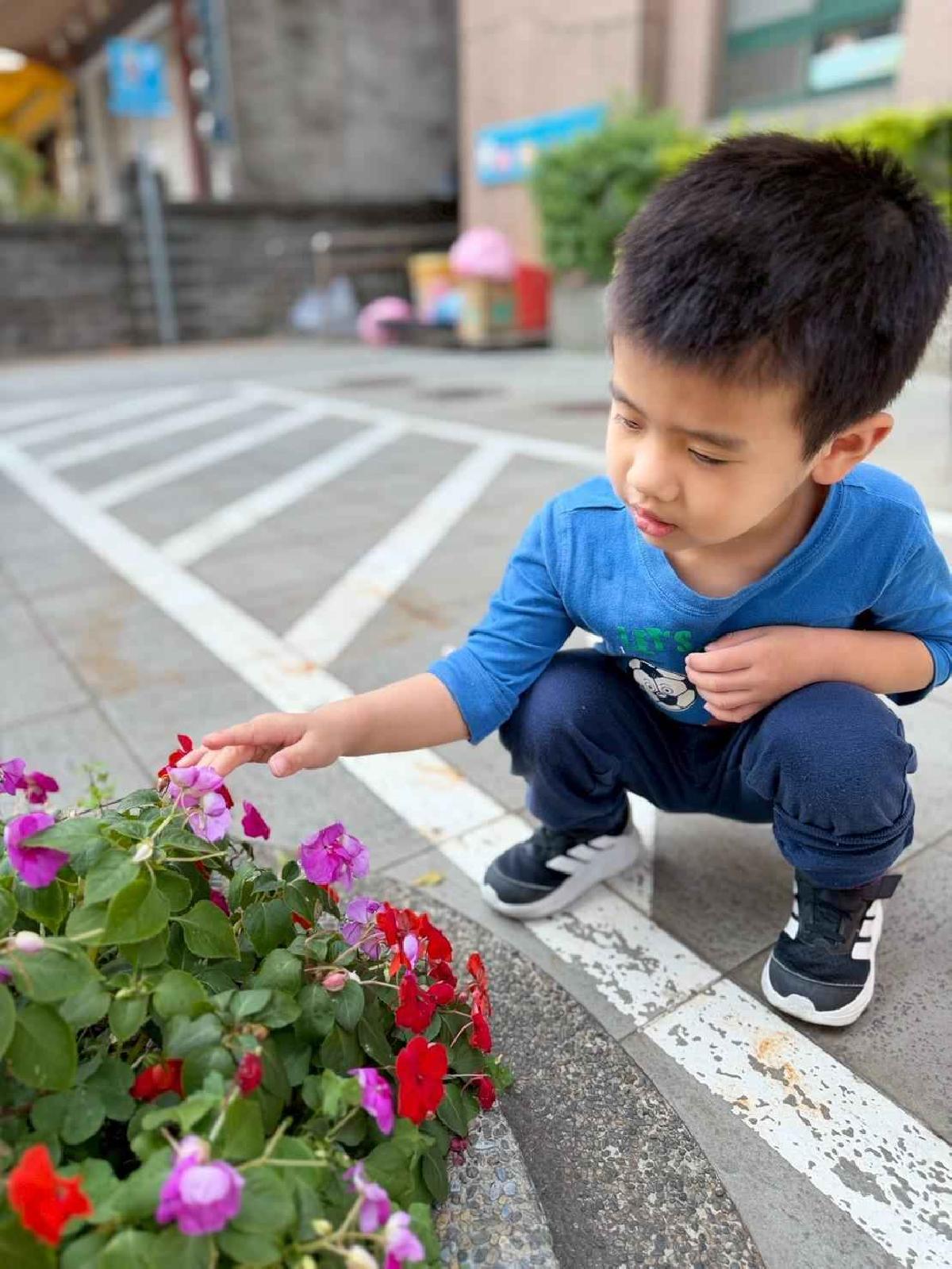 line_album_1150325草莓賞花_260327_11