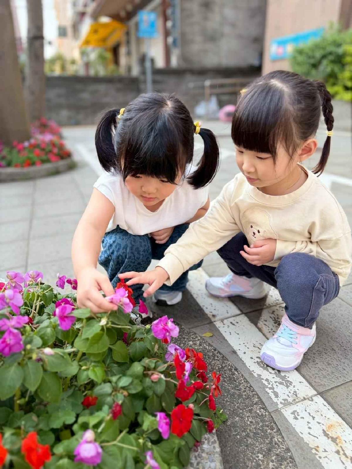 line_album_1150325草莓賞花_260327_14