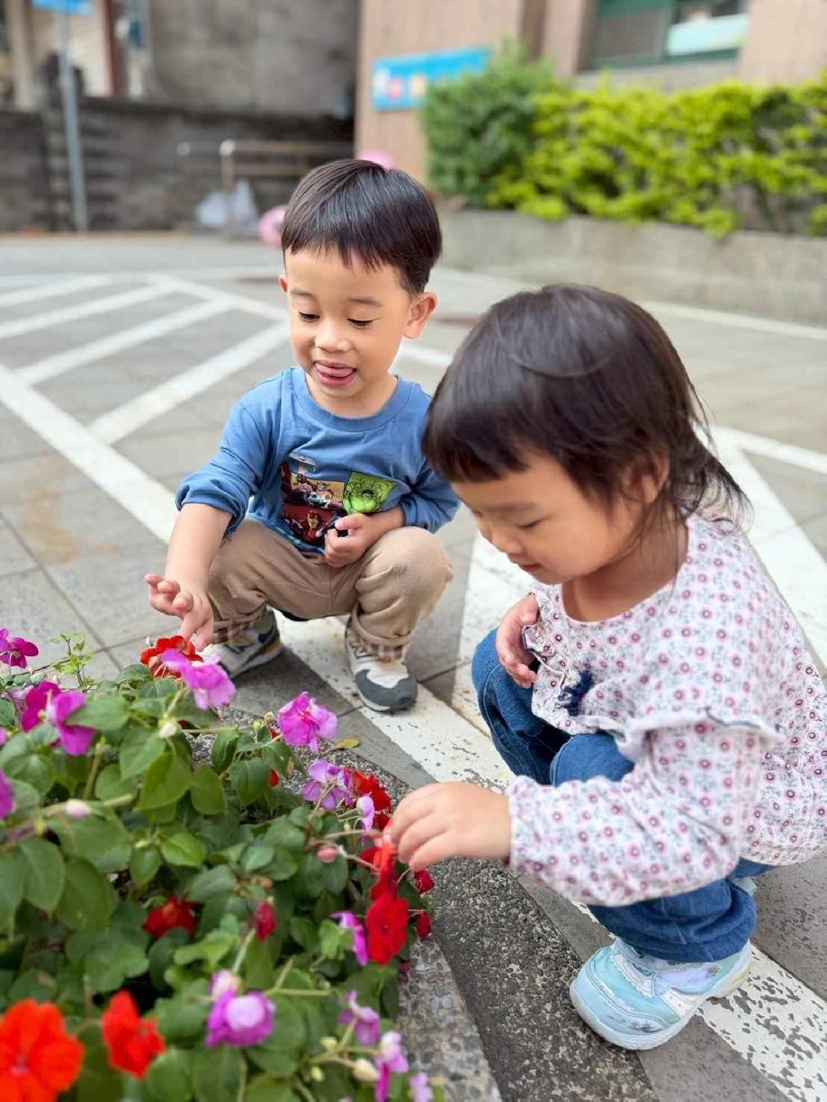 line_album_1150325草莓賞花_260327_15