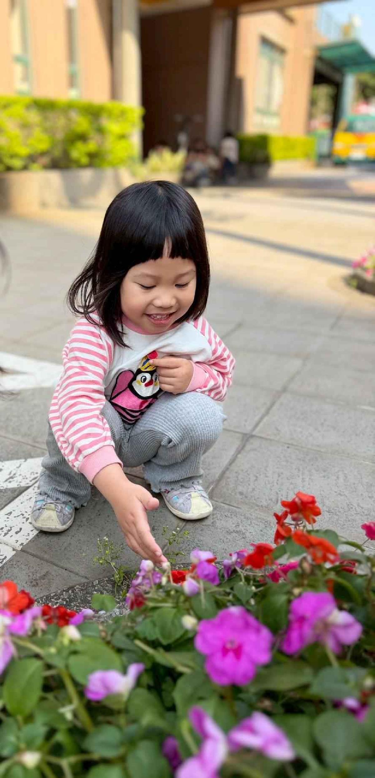 line_album_1150325草莓賞花_260327_22