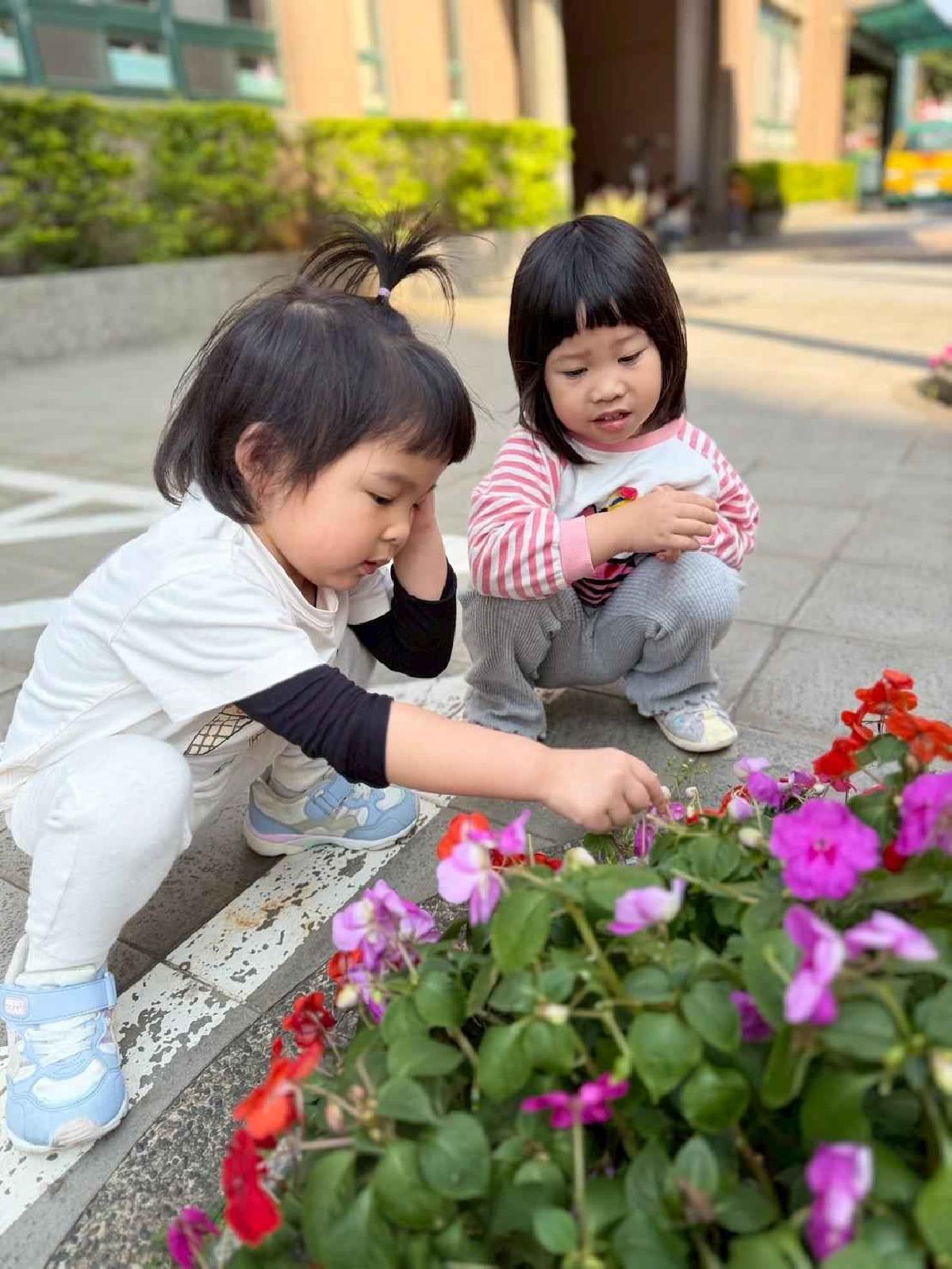 line_album_1150325草莓賞花_260327_23