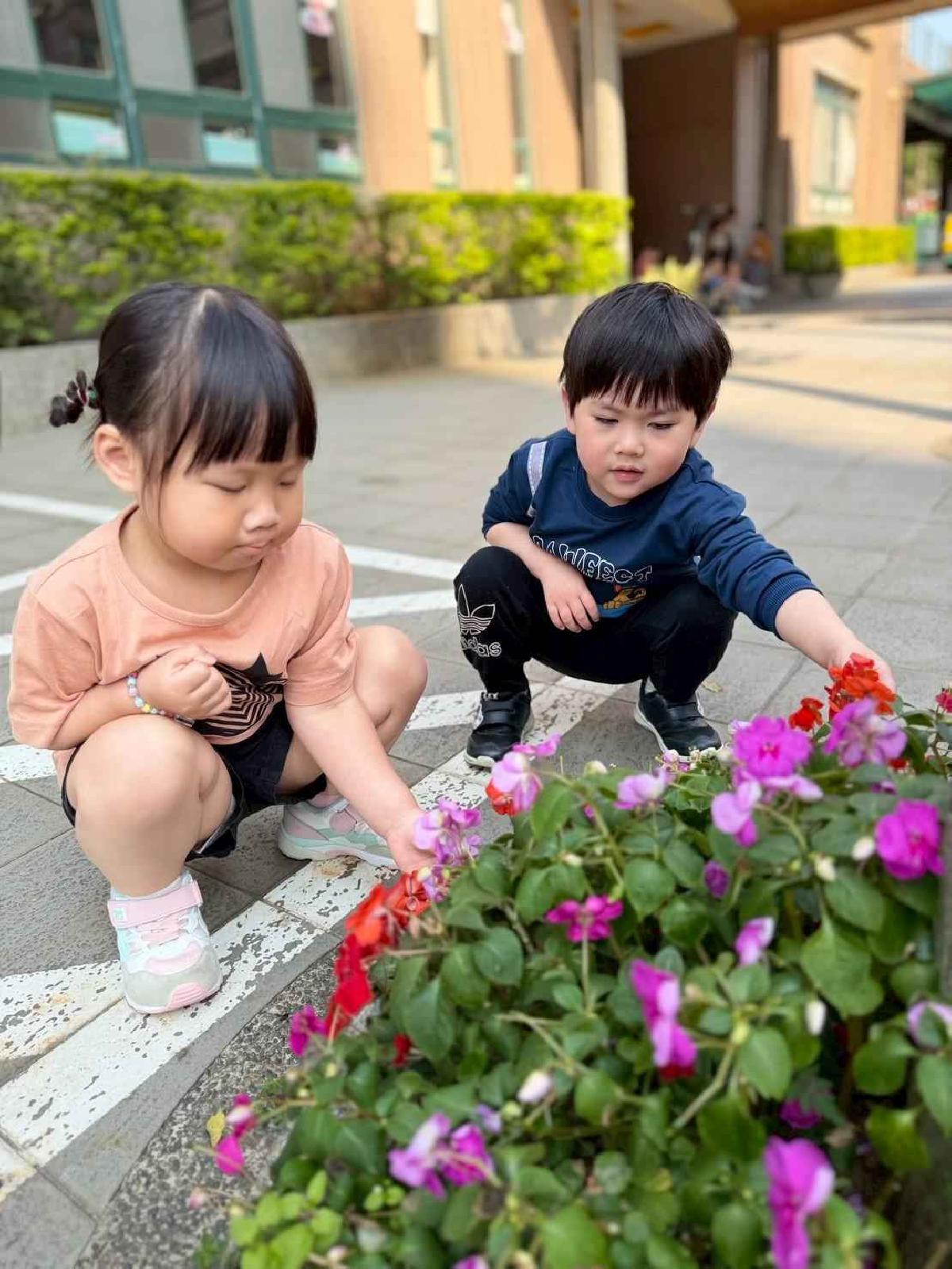 line_album_1150325草莓賞花_260327_25