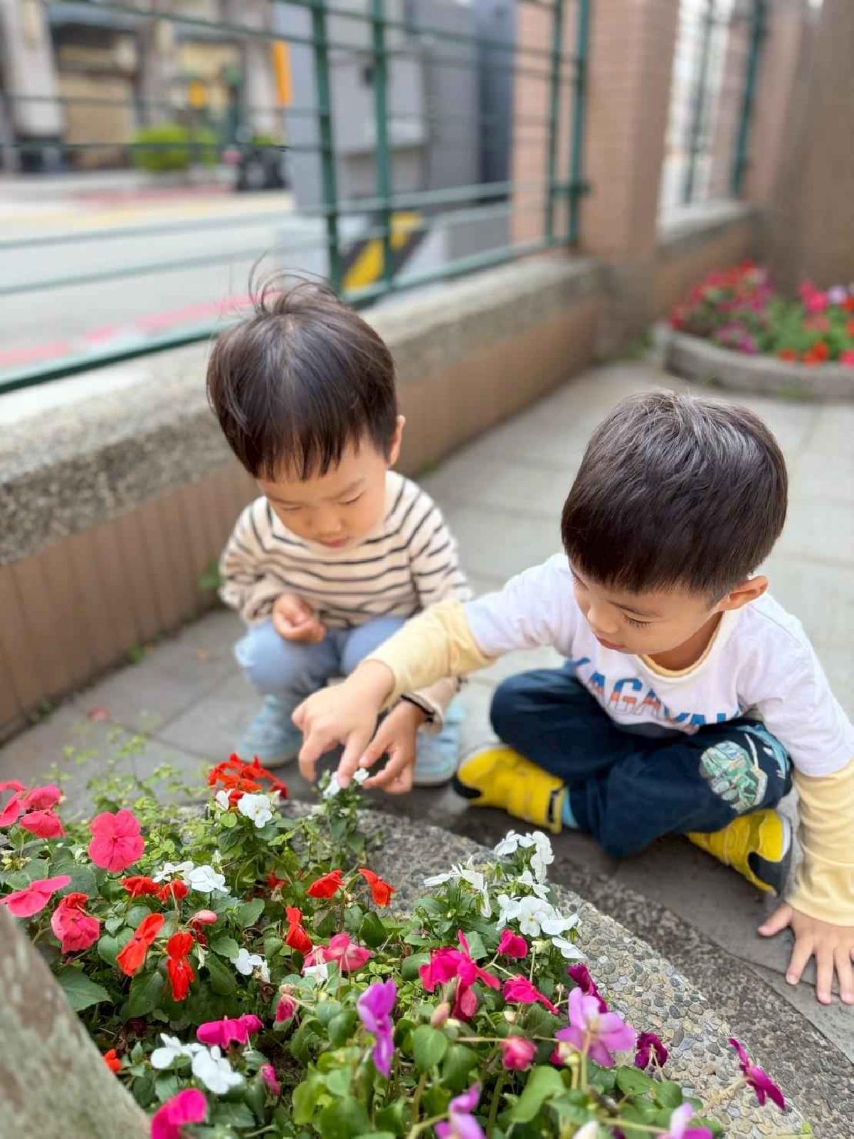 line_album_1150325草莓賞花_260327_31