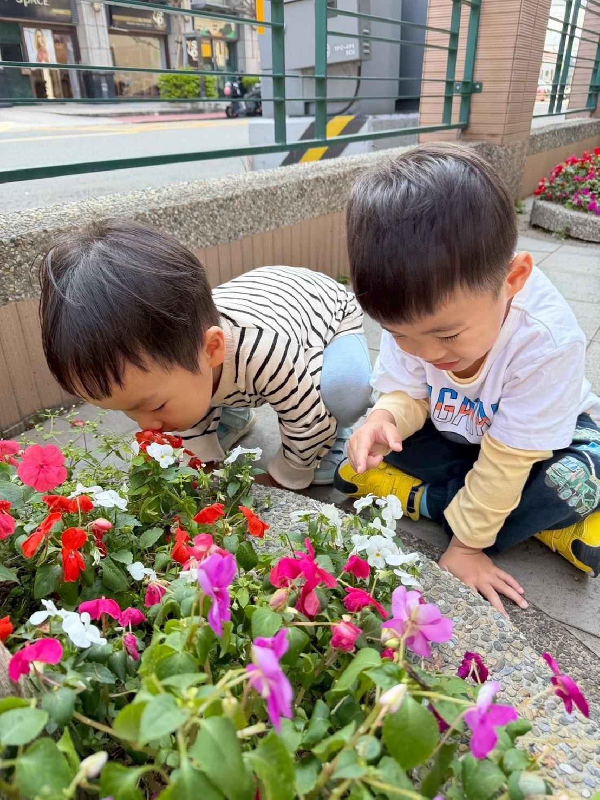 line_album_1150325草莓賞花_260327_35