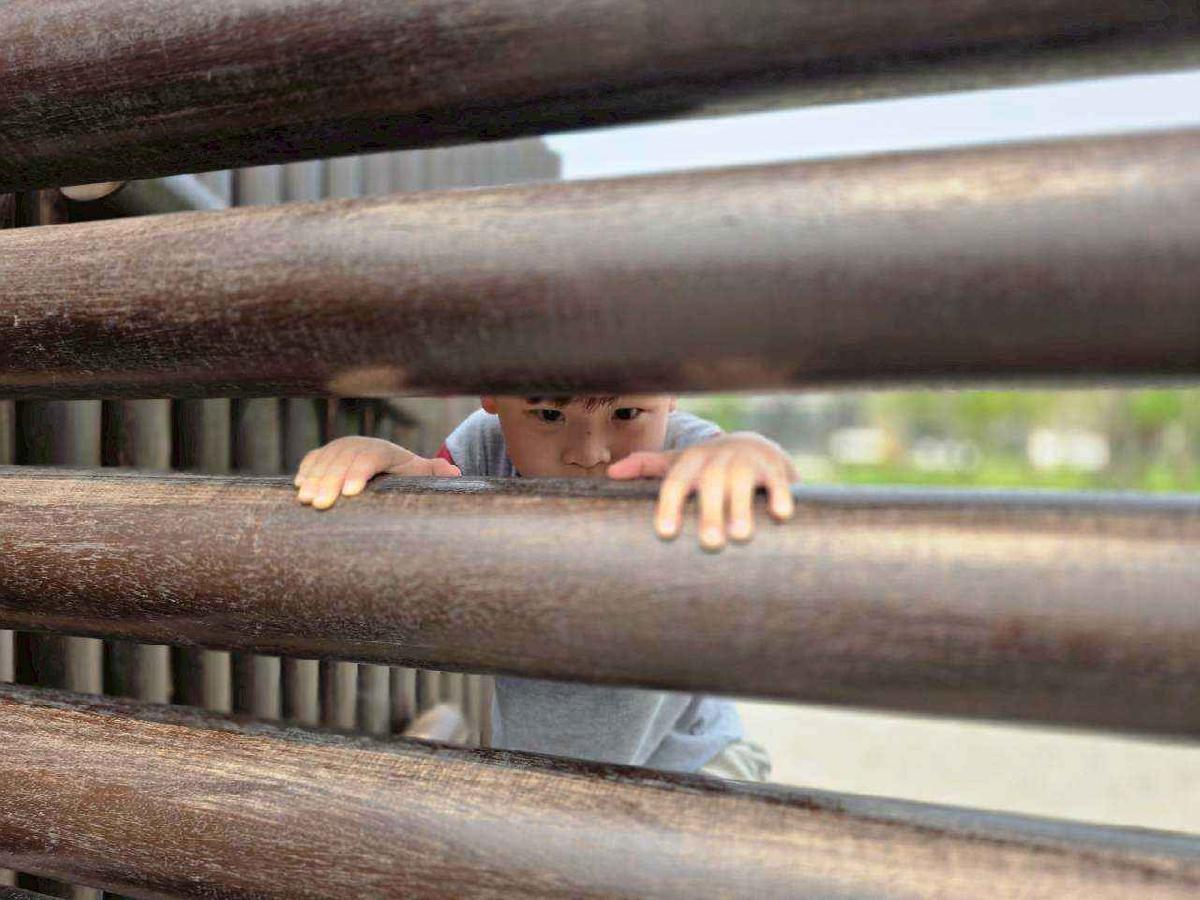 line_album_2026.4.15_260415_6