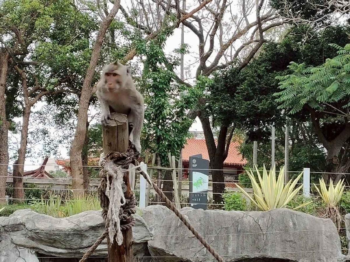 line_album_小班動物園之旅_260417_12