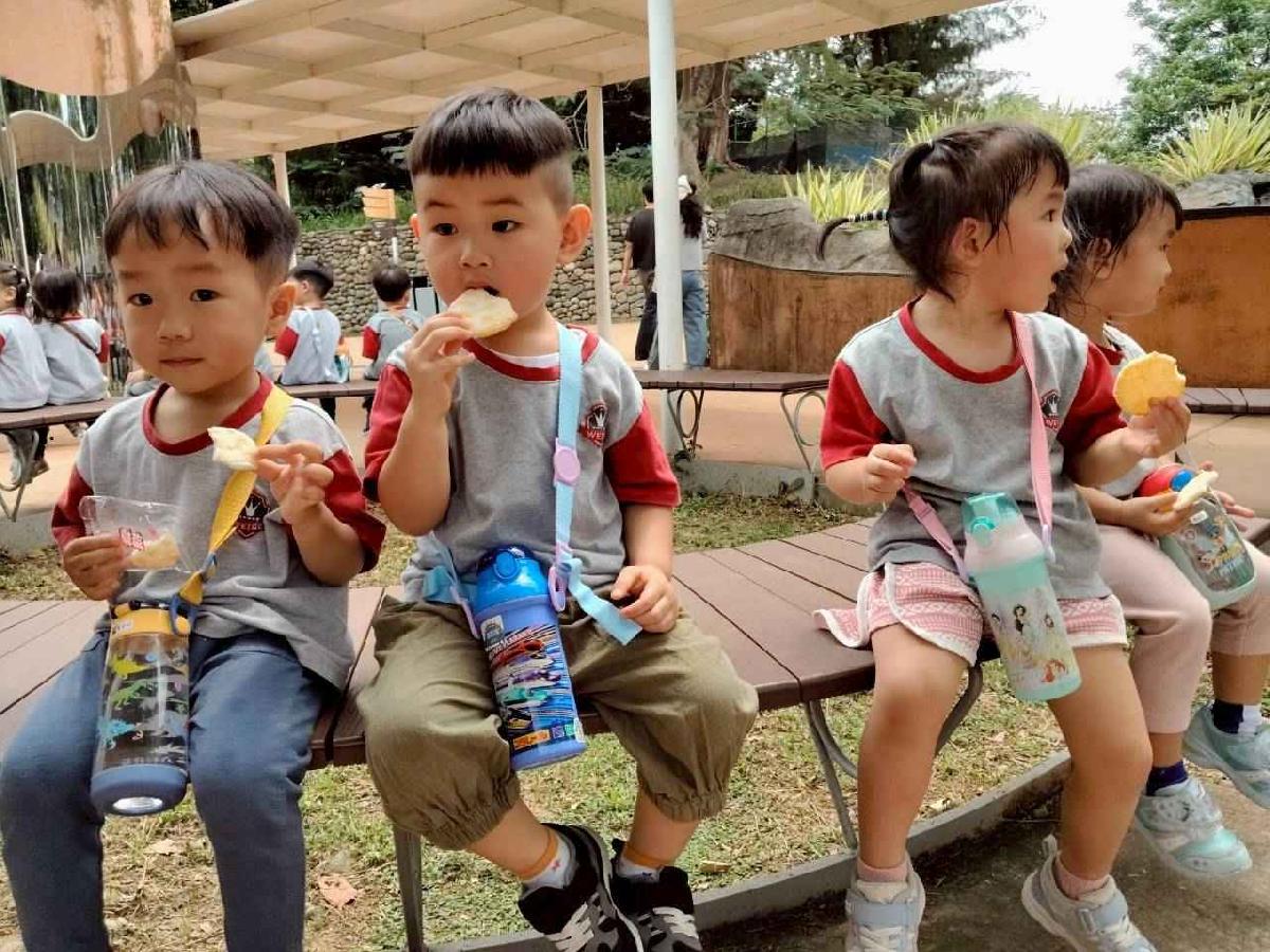 line_album_小班動物園之旅_260417_23