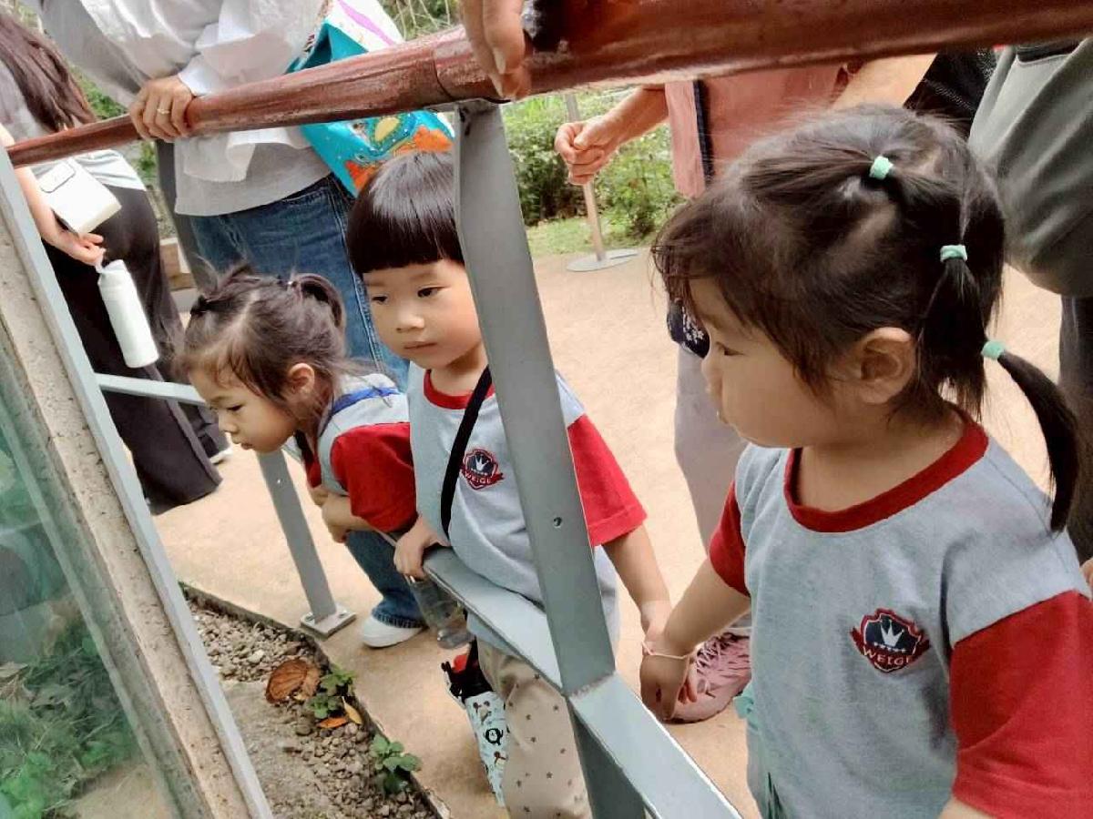 line_album_小班動物園之旅_260417_47