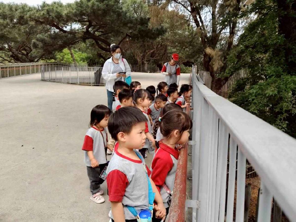 line_album_小班動物園之旅_260417_57