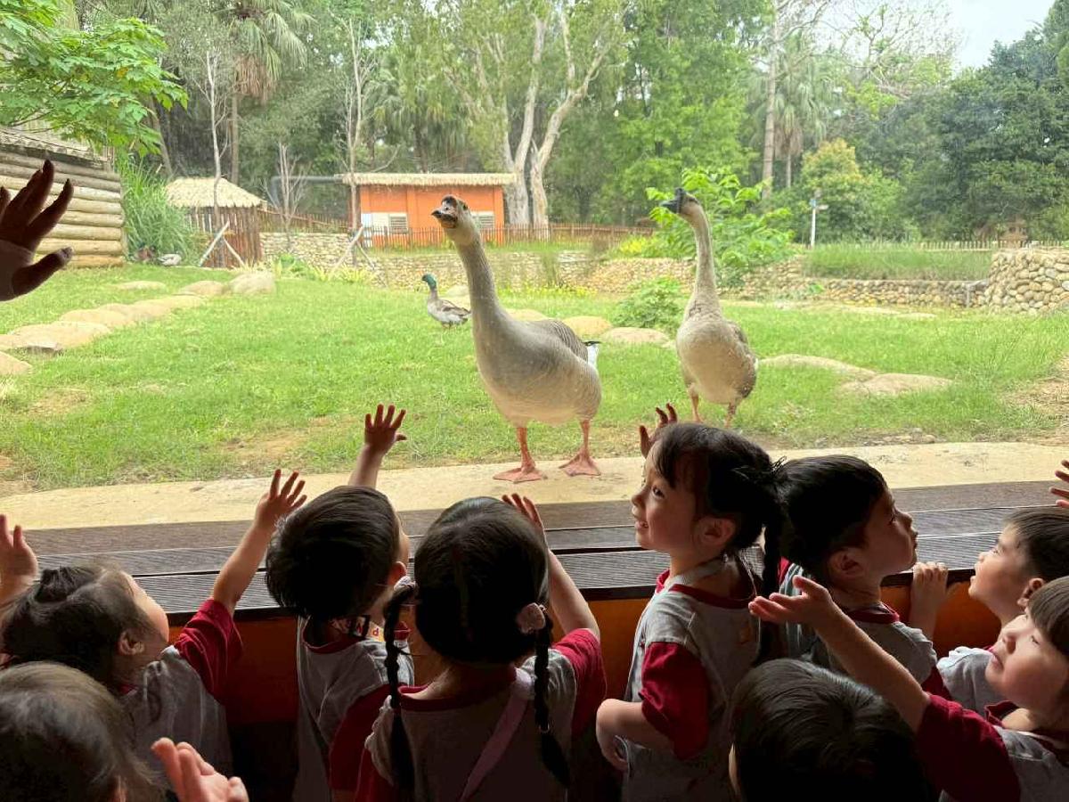 line_album_2026417_260417_61