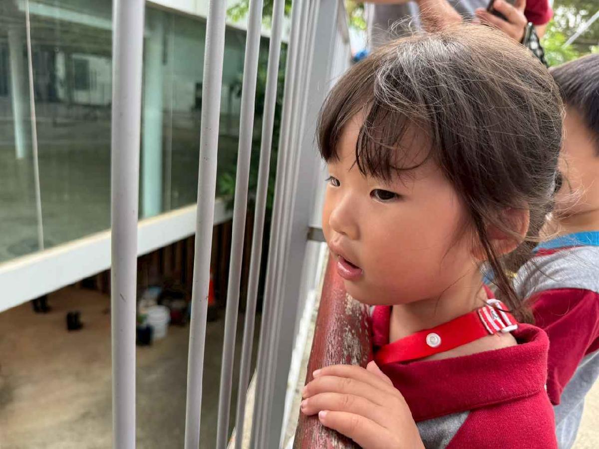 line_album_2026417_260417_72