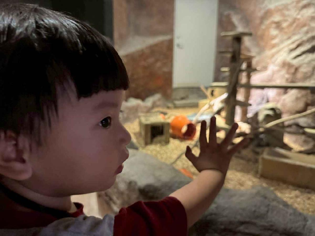 line_album_2026417_260417_2