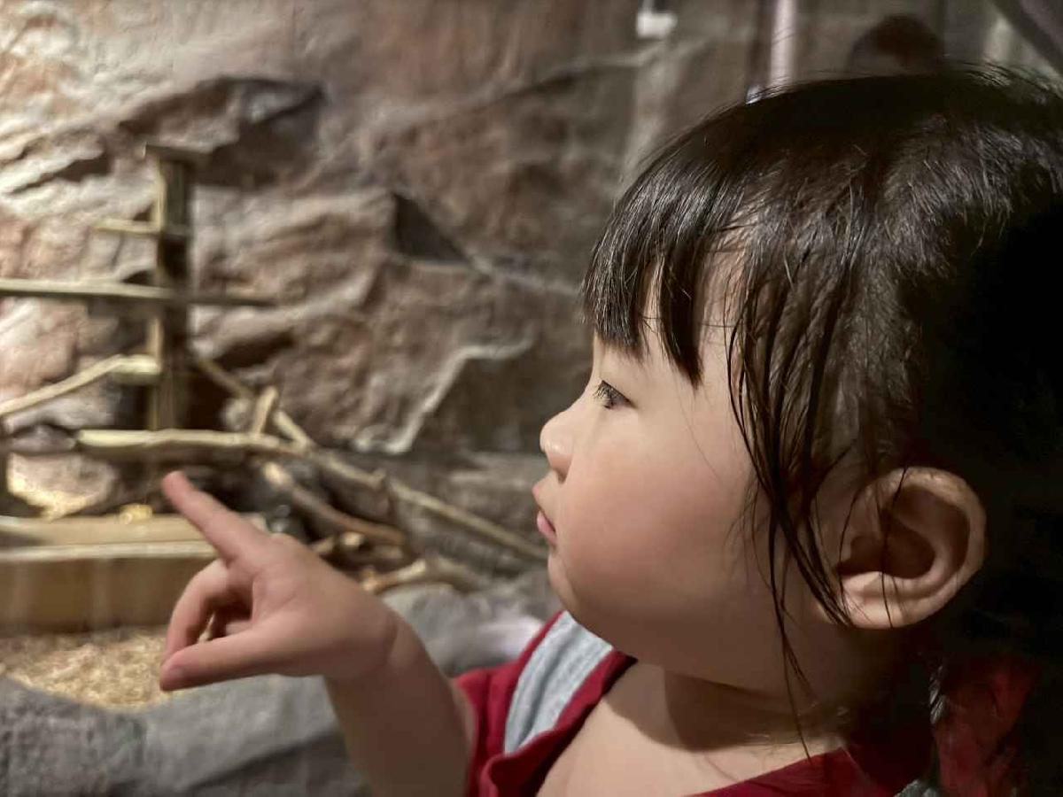 line_album_2026417_260417_1