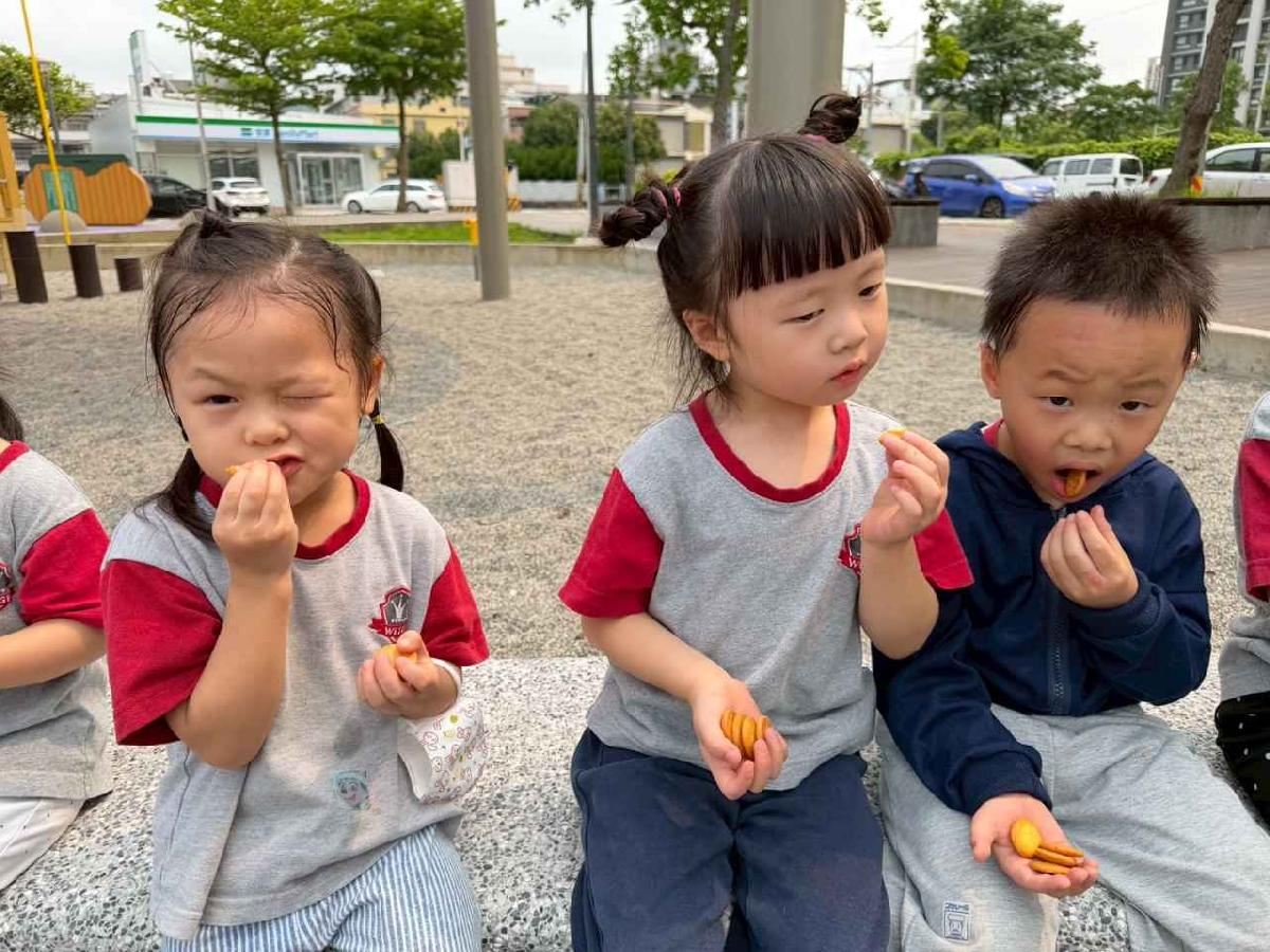 line_album_奇異果-柿子公園_260417_10