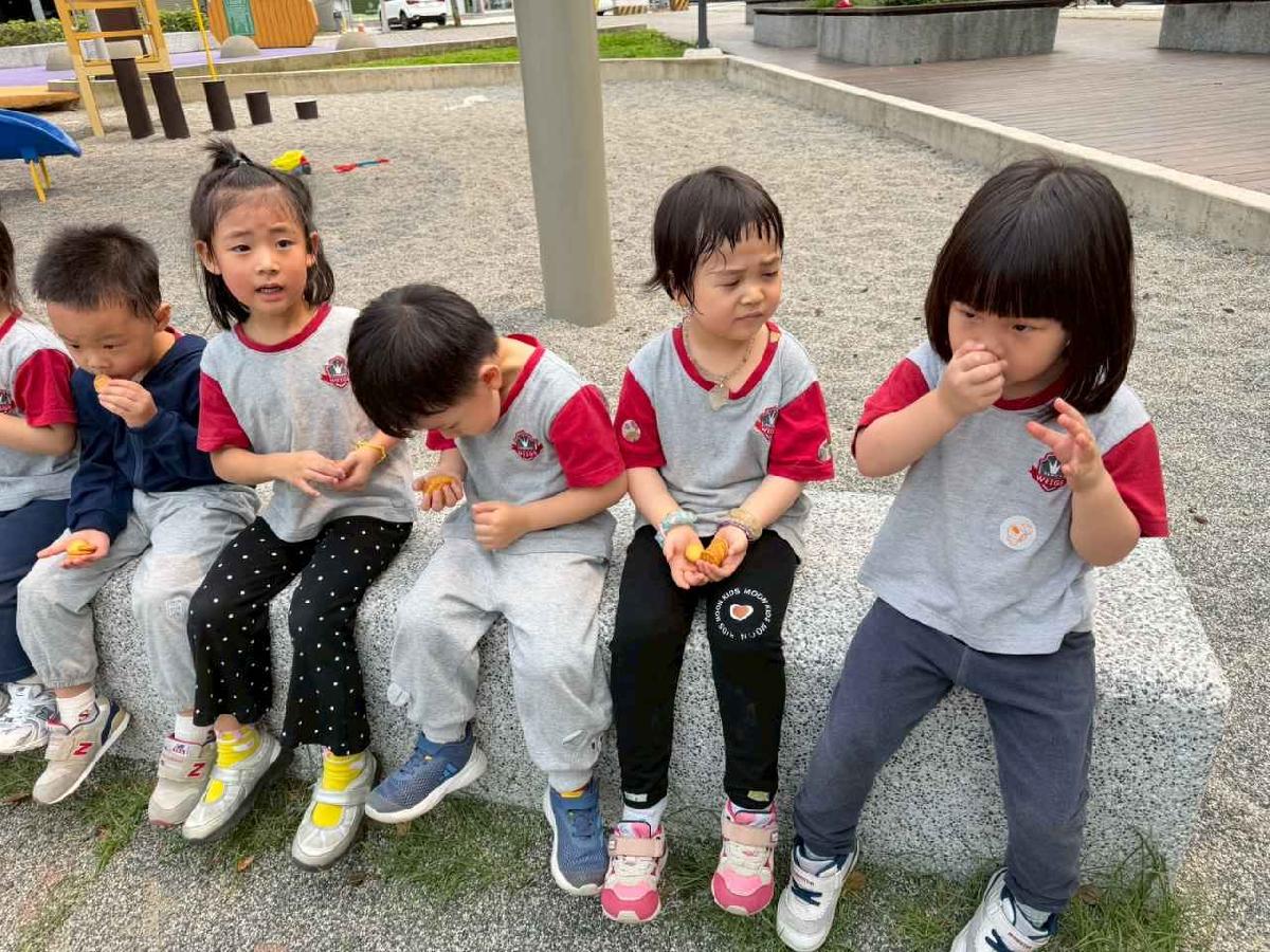 line_album_奇異果-柿子公園_260417_15