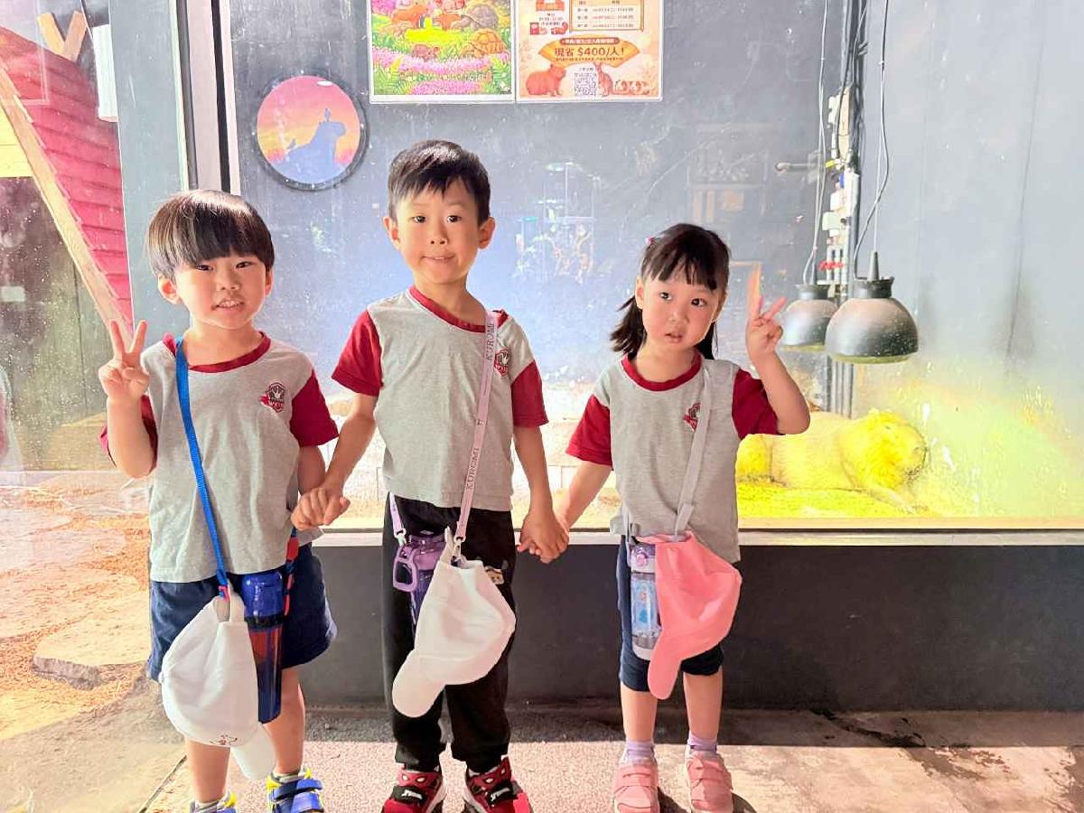 line_album_昆蟲館_260603_10