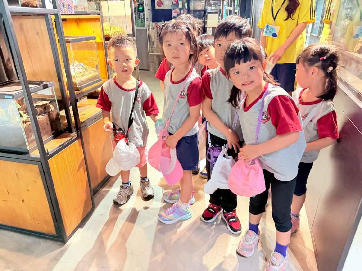 line_album_昆蟲館_260603_11